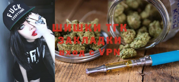 молекула духа Волосово