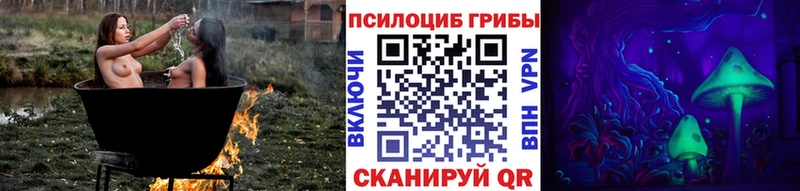 МЕГА ССЫЛКА Цоци-Юрт Галлюциногенные грибы мухоморы что такое